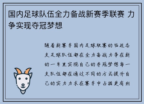 国内足球队伍全力备战新赛季联赛 力争实现夺冠梦想