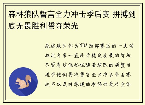 森林狼队誓言全力冲击季后赛 拼搏到底无畏胜利誓夺荣光